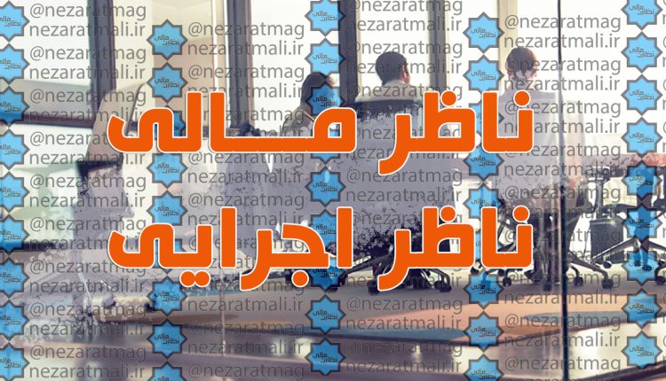 برنامه هفتم، ناظر مالی و ناظر اجرایی