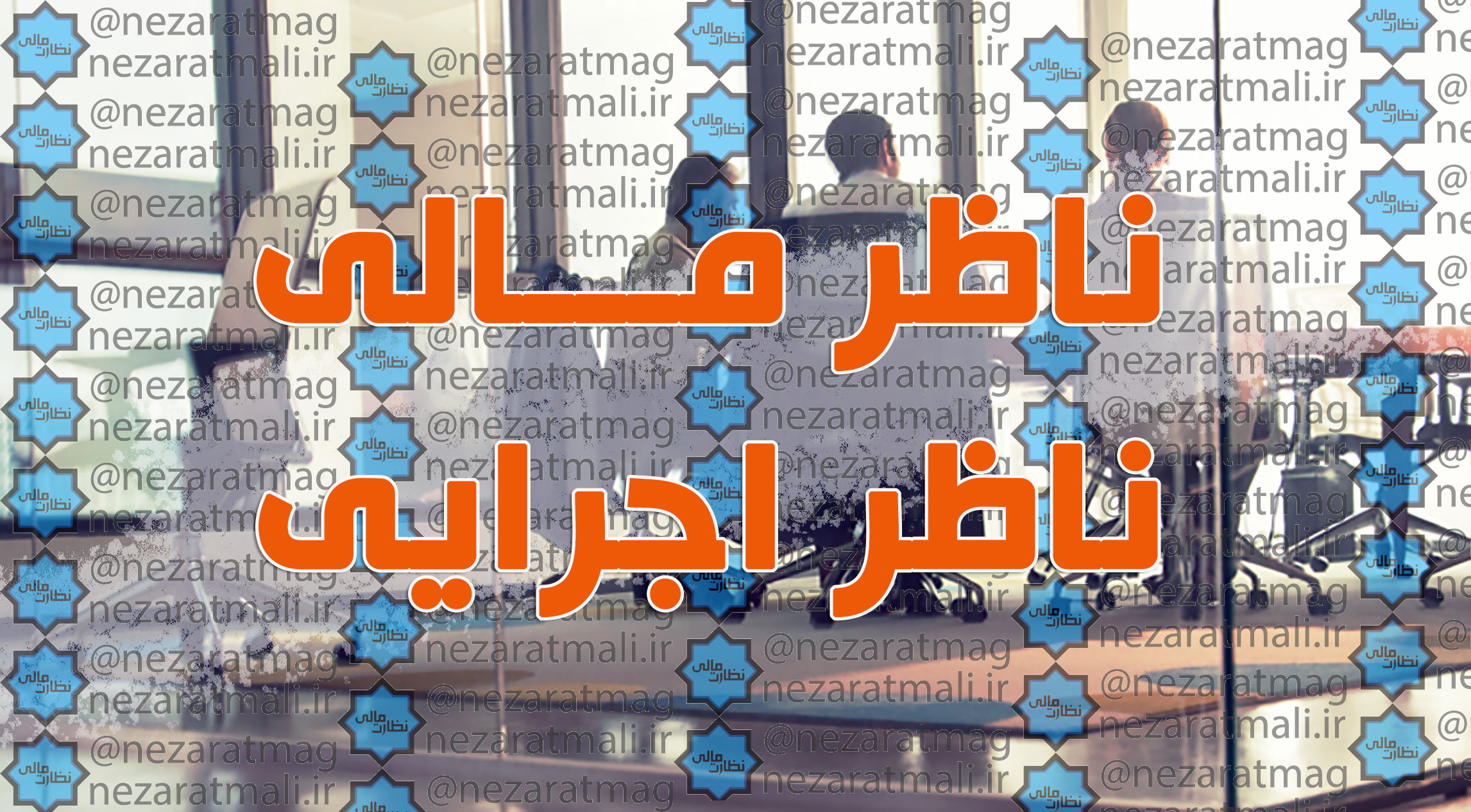 برنامه هفتم، ناظر مالی و ناظر اجرایی